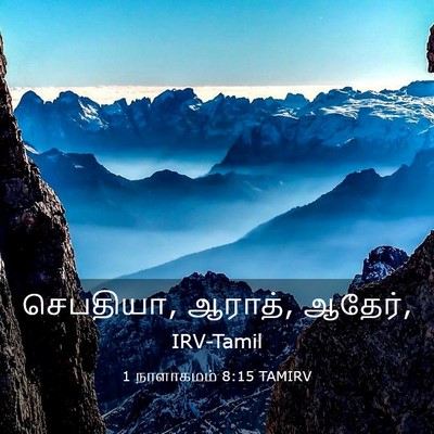 Picture 03 - 1 நாளாகமம் 8:15 TAMIRV - செபதியா, ஆராத், - Bible Verse Picture