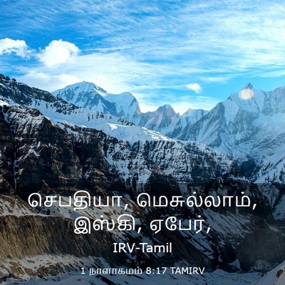 Picture 03 - 1 நாளாகமம் 8:17 TAMIRV - செபதியா, - Bible Verse Picture