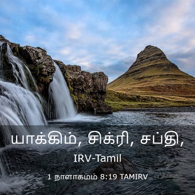 Picture 03 - 1 நாளாகமம் 8:19 TAMIRV - யாக்கிம், சிக்ரி, - Bible Verse Picture