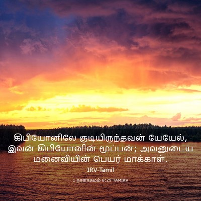 Picture 03 - 1 நாளாகமம் 8:29 TAMIRV - கிபியோனிலே - Bible Verse Picture