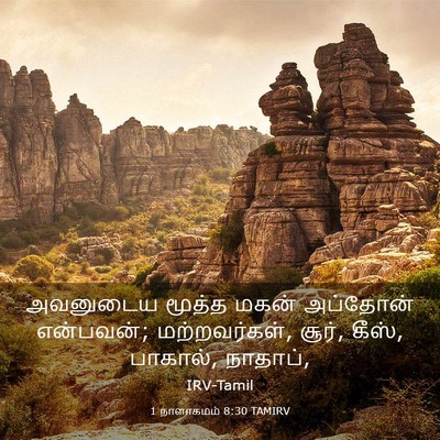 Picture 03 - 1 நாளாகமம் 8:30 TAMIRV - அவனுடைய மூத்த - Bible Verse Picture