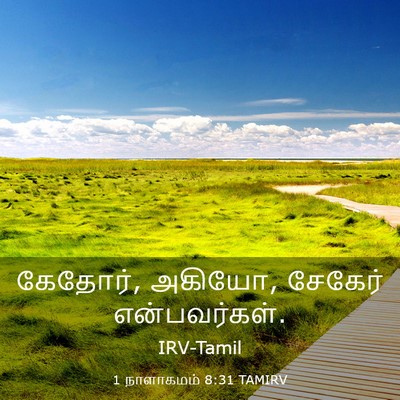Picture 03 - 1 நாளாகமம் 8:31 TAMIRV - கேதோர், அகியோ, - Bible Verse Picture