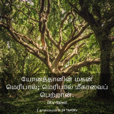 Picture 03 - 1 நாளாகமம் 8:34 TAMIRV - யோனத்தானின் மகன் - Bible Verse Picture