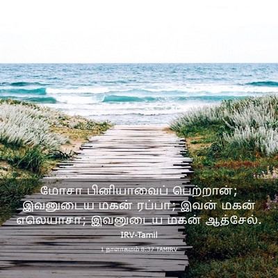 Picture 03 - 1 நாளாகமம் 8:37 TAMIRV - மோசா பினியாவைப் - Bible Verse Picture