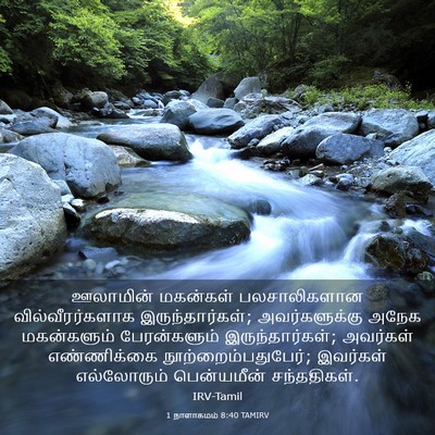 Picture 03 - 1 நாளாகமம் 8:40 TAMIRV - ஊலாமின் மகன்கள் - Bible Verse Picture