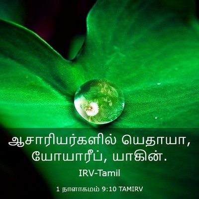 Picture 03 - 1 நாளாகமம் 9:10 TAMIRV - ஆசாரியர்களில் - Bible Verse Picture
