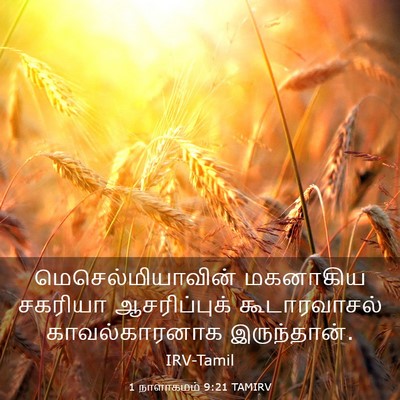 Picture 03 - 1 நாளாகமம் 9:21 TAMIRV - மெசெல்மியாவின் - Bible Verse Picture