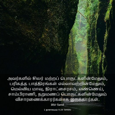 Picture 03 - 1 நாளாகமம் 9:29 TAMIRV - அவர்களில் சிலர் - Bible Verse Picture