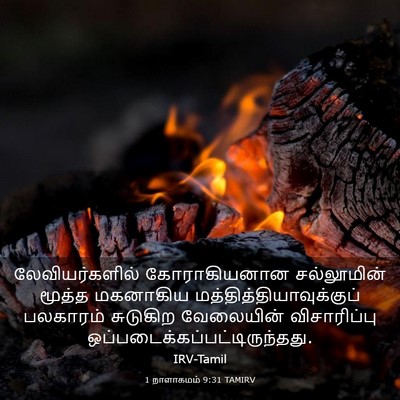 Picture 03 - 1 நாளாகமம் 9:31 TAMIRV - லேவியர்களில் - Bible Verse Picture