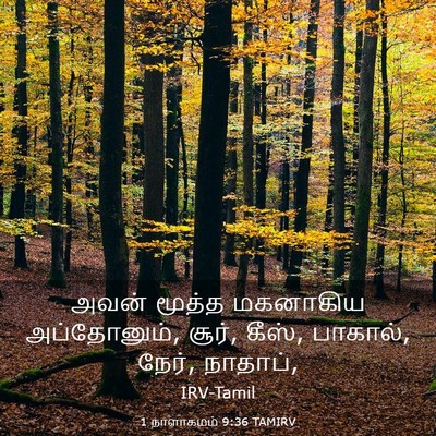 Picture 03 - 1 நாளாகமம் 9:36 TAMIRV - அவன் மூத்த - Bible Verse Picture