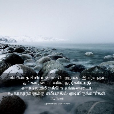 Picture 03 - 1 நாளாகமம் 9:38 TAMIRV - மிக்லோத் - Bible Verse Picture