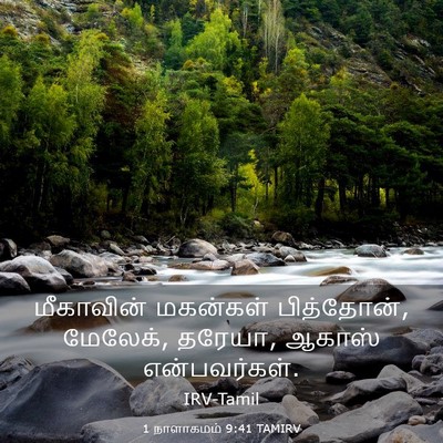 Picture 03 - 1 நாளாகமம் 9:41 TAMIRV - மீகாவின் மகன்கள் - Bible Verse Picture