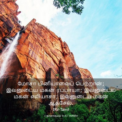 Picture 03 - 1 நாளாகமம் 9:43 TAMIRV - மோசா பினியாவைப் - Bible Verse Picture