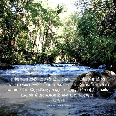 Picture 03 - 1 நாளாகமம் 9:8 TAMIRV - எரோகாமின் மகன் - Bible Verse Picture