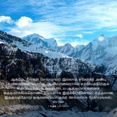 Picture 03 - 1 பேதுரு 1:22 TAMIRV - ஆகவே, நீங்கள் - Bible Verse Picture