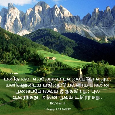 Picture 03 - 1 பேதுரு 1:24 TAMIRV - மனிதர்கள் - Bible Verse Picture