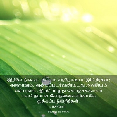 Picture 03 - 1 பேதுரு 1:6 TAMIRV - இதிலே நீங்கள் - Bible Verse Picture