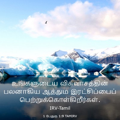 Picture 03 - 1 பேதுரு 1:9 TAMIRV - உங்களுடைய - Bible Verse Picture