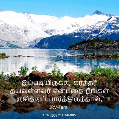 Picture 03 - 1 பேதுரு 2:1 TAMIRV - இப்படியிருக்க, - Bible Verse Picture