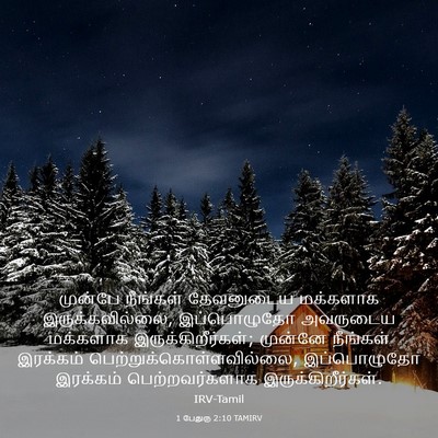 Picture 03 - 1 பேதுரு 2:10 TAMIRV - முன்பே நீங்கள் - Bible Verse Picture