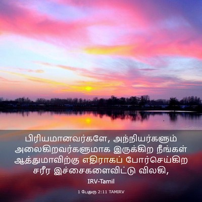 Picture 03 - 1 பேதுரு 2:11 TAMIRV - பிரியமானவர்களே, - Bible Verse Picture