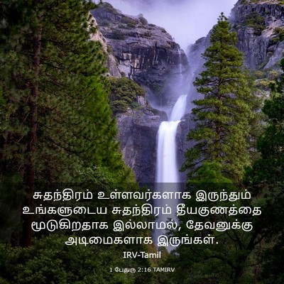 Picture 03 - 1 பேதுரு 2:16 TAMIRV - சுதந்திரம் - Bible Verse Picture
