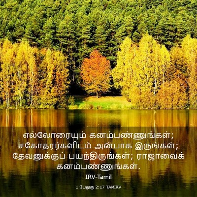 Picture 03 - 1 பேதுரு 2:17 TAMIRV - எல்லோரையும் - Bible Verse Picture