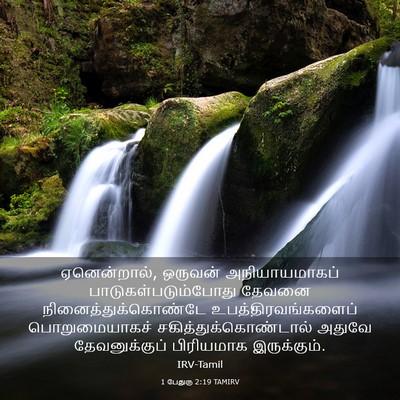 Picture 03 - 1 பேதுரு 2:19 TAMIRV - ஏனென்றால், ஒருவன் - Bible Verse Picture