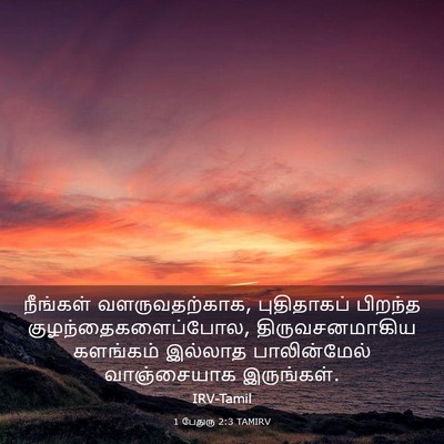Picture 03 - 1 பேதுரு 2:3 TAMIRV - நீங்கள் - Bible Verse Picture