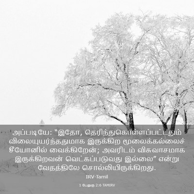 Picture 03 - 1 பேதுரு 2:6 TAMIRV - அப்படியே: “இதோ, - Bible Verse Picture