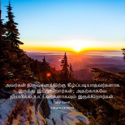 Picture 03 - 1 பேதுரு 2:8 TAMIRV - அவர்கள் - Bible Verse Picture
