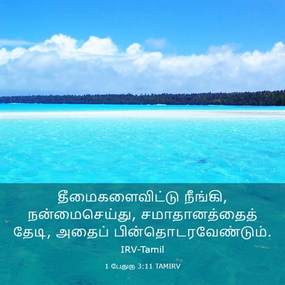 Picture 03 - 1 பேதுரு 3:11 TAMIRV - தீமைகளைவிட்டு - Bible Verse Picture