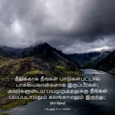 Picture 03 - 1 பேதுரு 3:14 TAMIRV - நீதிக்காக நீங்கள் - Bible Verse Picture
