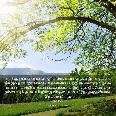 Picture 03 - 1 பேதுரு 3:21 TAMIRV - அதற்கு ஒப்பனையான - Bible Verse Picture