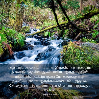 Picture 03 - 1 பேதுரு 3:4 TAMIRV - அழியாத - Bible Verse Picture