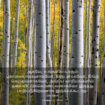 Picture 03 - 1 பேதுரு 4:15 TAMIRV - ஆகவே, உங்களில் - Bible Verse Picture