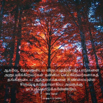 Picture 03 - 1 பேதுரு 4:19 TAMIRV - ஆகவே, தேவனுடைய - Bible Verse Picture