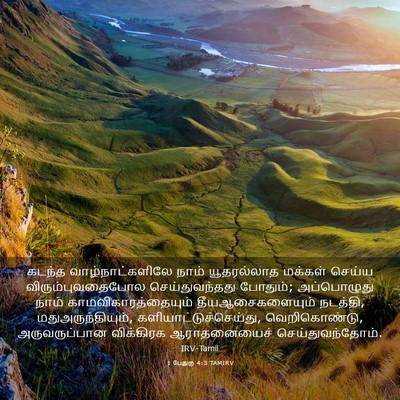 Picture 03 - 1 பேதுரு 4:3 TAMIRV - கடந்த - Bible Verse Picture