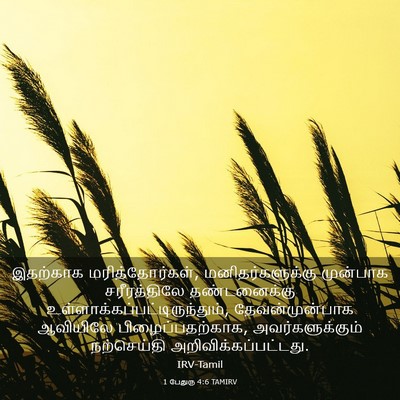 Picture 03 - 1 பேதுரு 4:6 TAMIRV - இதற்காக - Bible Verse Picture