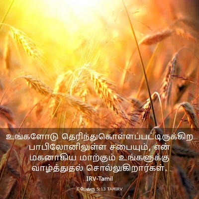 Picture 03 - 1 பேதுரு 5:13 TAMIRV - உங்களோடு - Bible Verse Picture