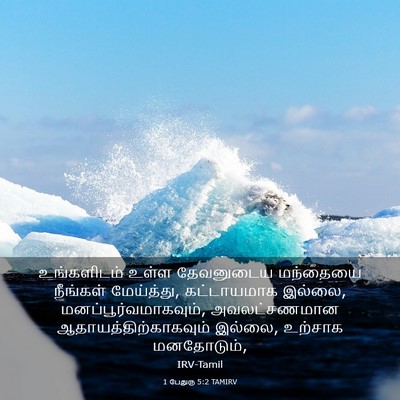 Picture 03 - 1 பேதுரு 5:2 TAMIRV - உங்களிடம் உள்ள - Bible Verse Picture
