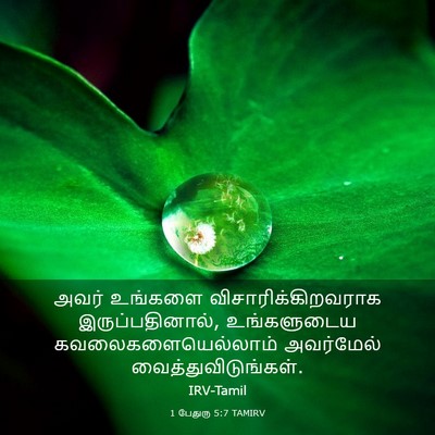 Picture 03 - 1 பேதுரு 5:7 TAMIRV - அவர் உங்களை - Bible Verse Picture