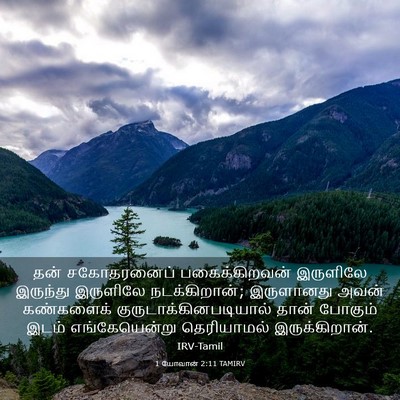 Picture 03 - 1 யோவான் 2:11 TAMIRV - தன் சகோதரனைப் - Bible Verse Picture