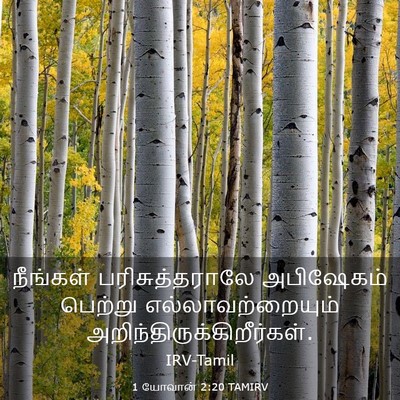 Picture 03 - 1 யோவான் 2:20 TAMIRV - நீங்கள் - Bible Verse Picture