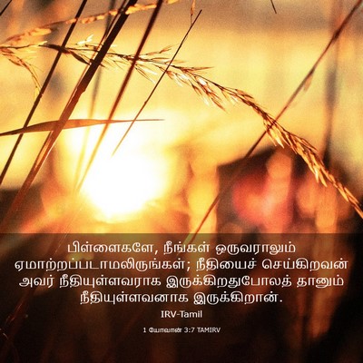 Picture 03 - 1 யோவான் 3:7 TAMIRV - பிள்ளைகளே, - Bible Verse Picture