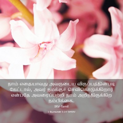 Picture 03 - 1 யோவான் 5:14 TAMIRV - நாம் எதையாவது - Bible Verse Picture