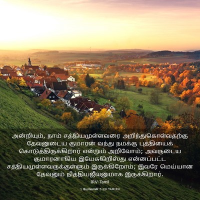 Picture 03 - 1 யோவான் 5:20 TAMIRV - அன்றியும், நாம் - Bible Verse Picture