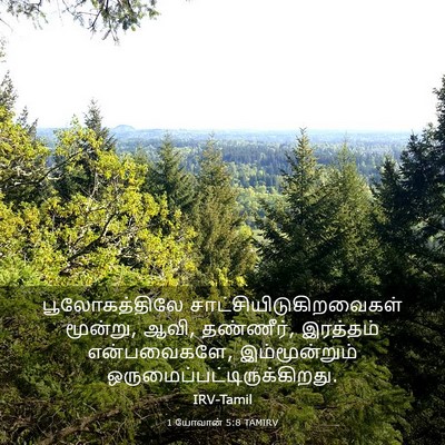 Picture 03 - 1 யோவான் 5:8 TAMIRV - பூலோகத்திலே - Bible Verse Picture