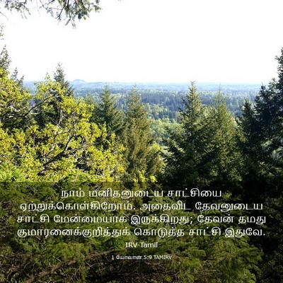 Picture 03 - 1 யோவான் 5:9 TAMIRV - நாம் மனிதனுடைய - Bible Verse Picture