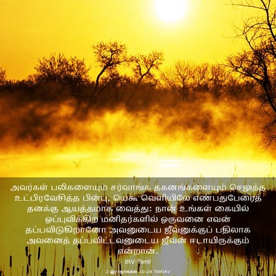 Picture 03 - 2 இராஜாக்கள் 10:24 TAMIRV - அவர்கள் - Bible Verse Picture